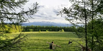 Z pamiętnika leśnego terapeuty – Kąpiel leśna z duszą